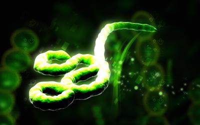 An enlarged image of a virus